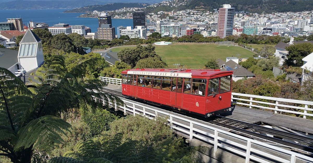 Wellington (Istock)