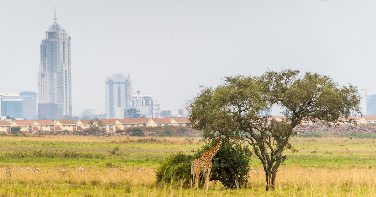 Parque Nacional de Nairobi (iStock)