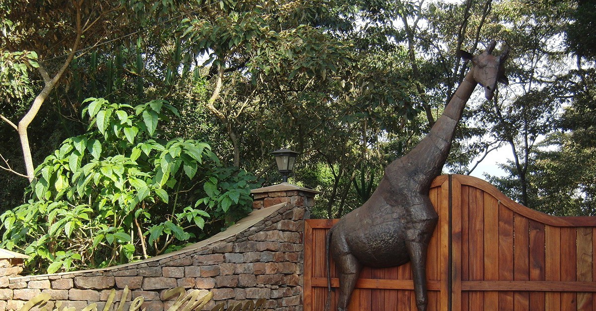 Centro de jirafas (Pixabay)