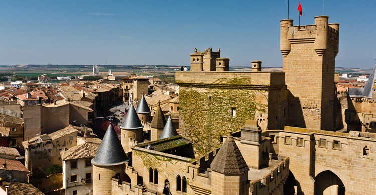 Vista de Olite con su Palacio en primer término. César Viteri Ramirez (Flickr)