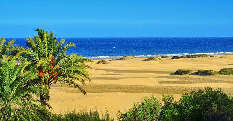 Playa y dunas en Maspalomas. Nito100 (iStock)