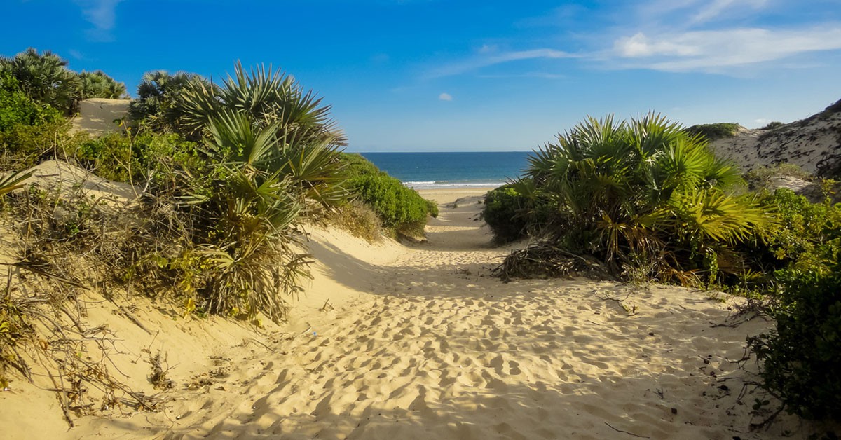Archipiélago de Lamu (iStock)