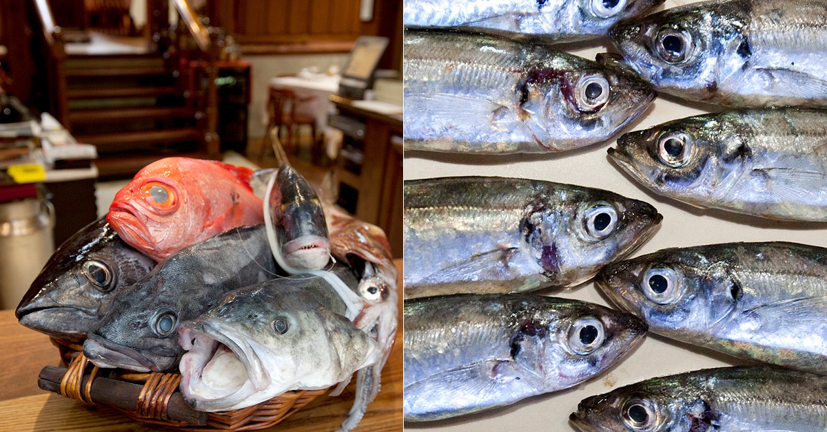 Bodegones (Web de Casa Tataguyo)