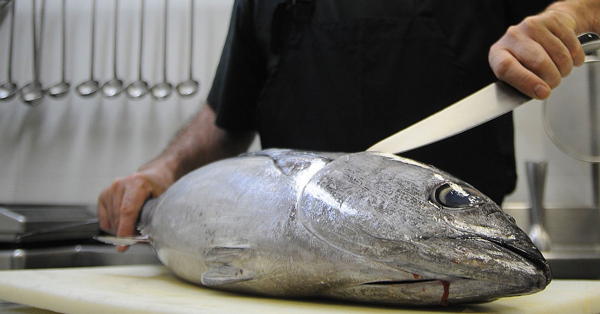 Cortando pescado (Web del Asador Etxebarri) 