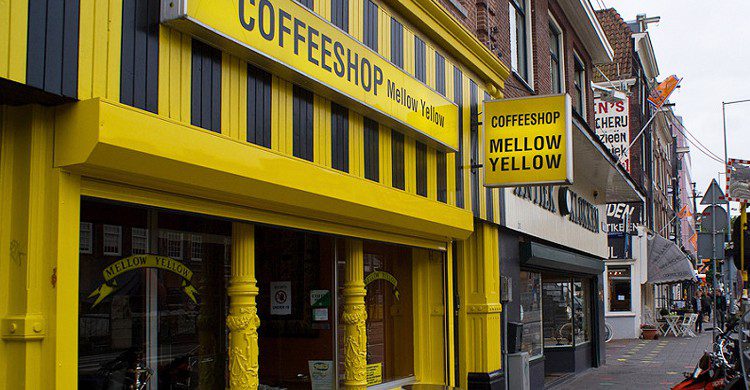 Salida del Mellow Yellow (mdhfc, Foter)