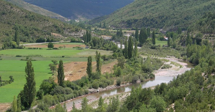 Hecho (wikimedia.org)