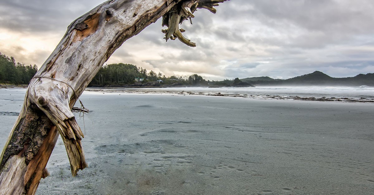 Un baño en la Playa de Chesterman en Canadá (Flickr)