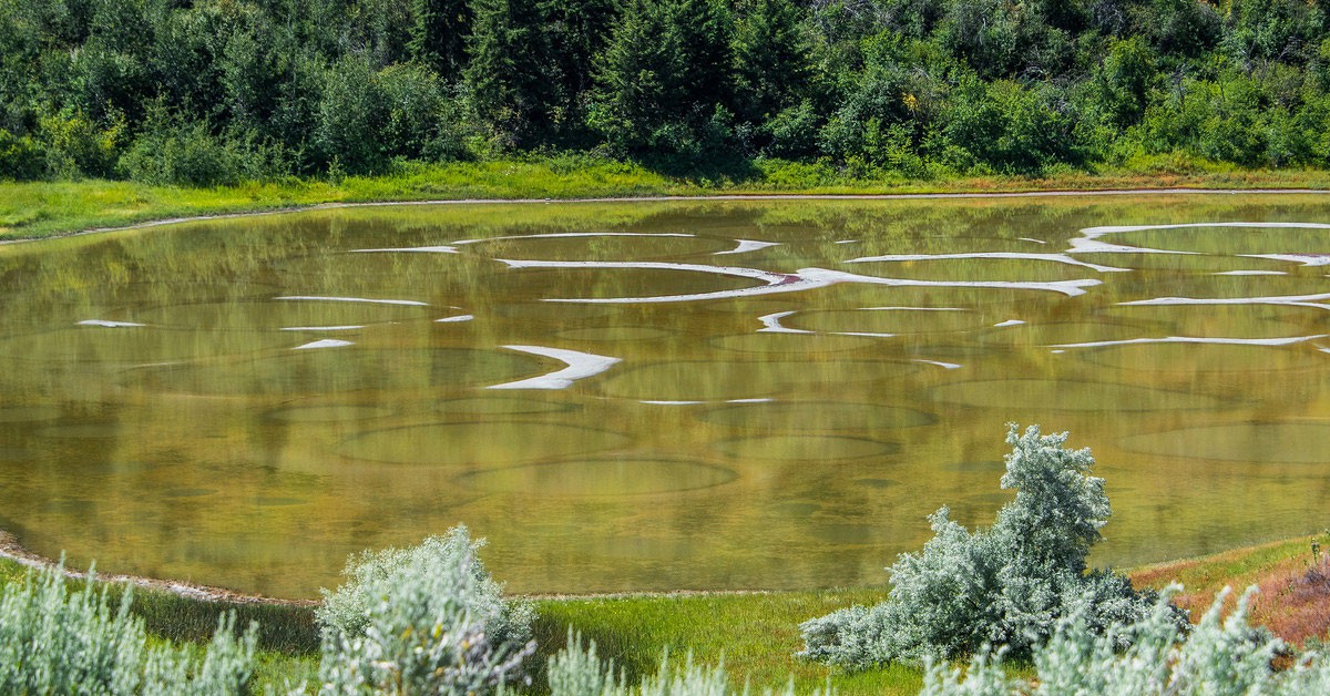 EL curioso Lago Manchado de Canadá (Flickr)