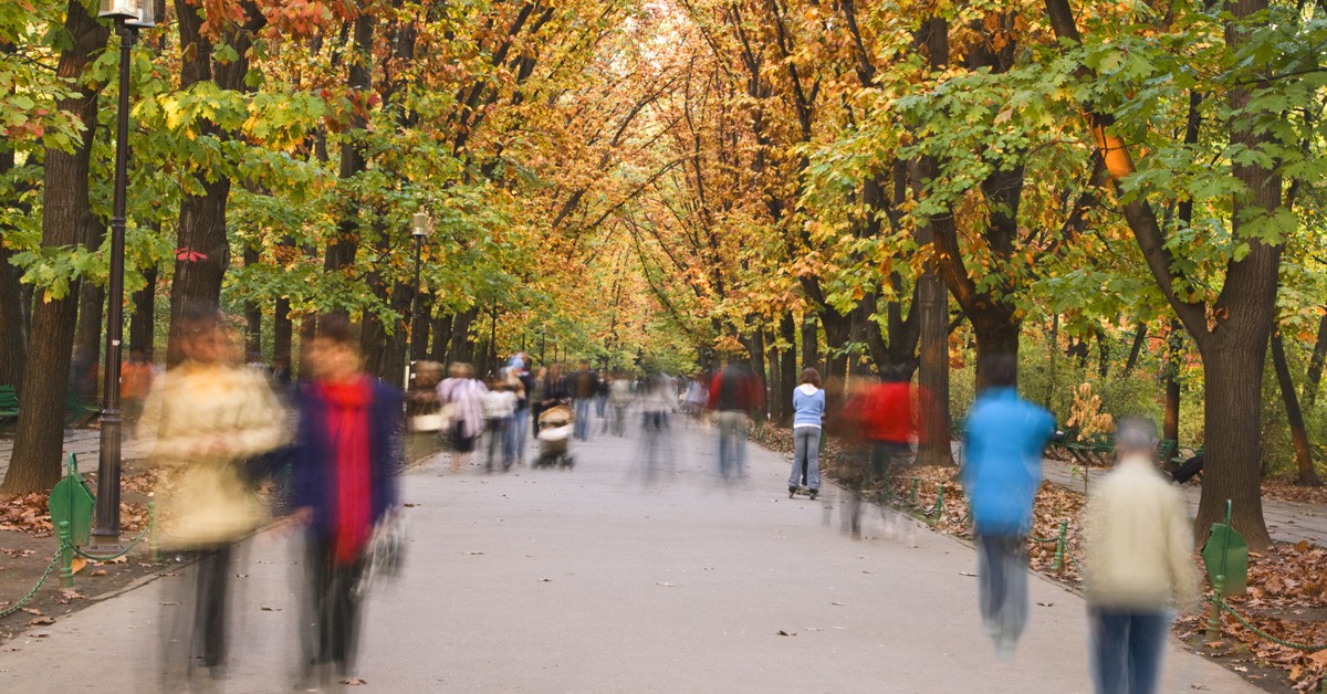 camina por el parque y la ciudad (Istock)