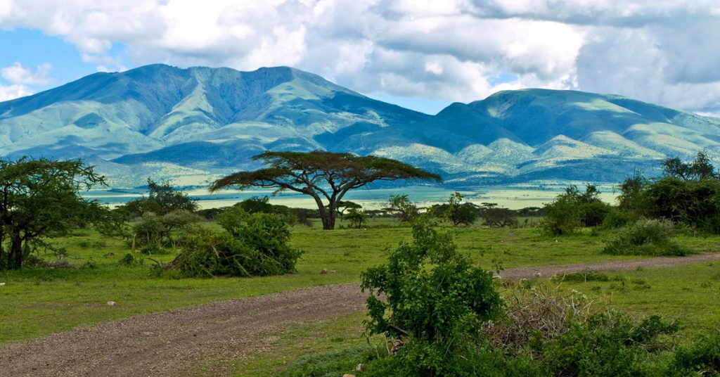 Sigue leyendo Qué ver en Tanzania