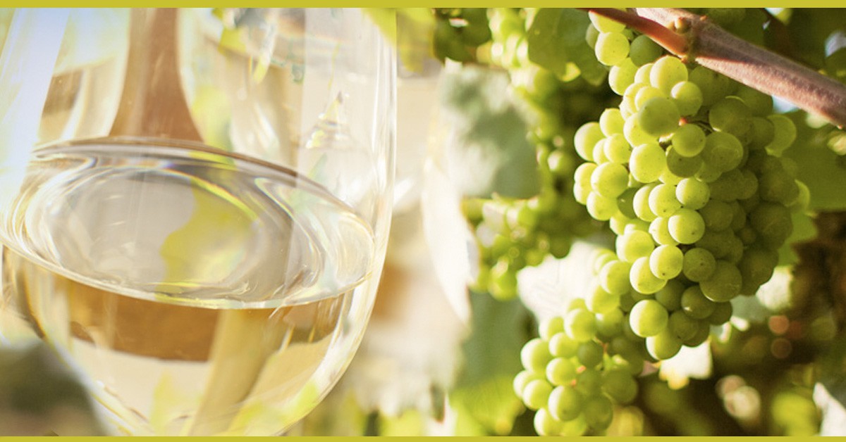 Txakoli (txakoliulacia.com)