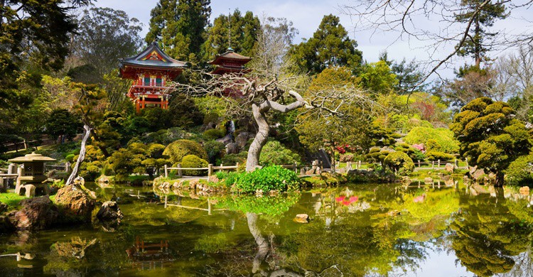 2. Golden Gate Park.