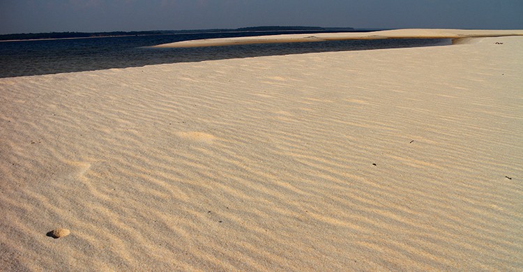 Alter do Chão (Bárbara Chacón)