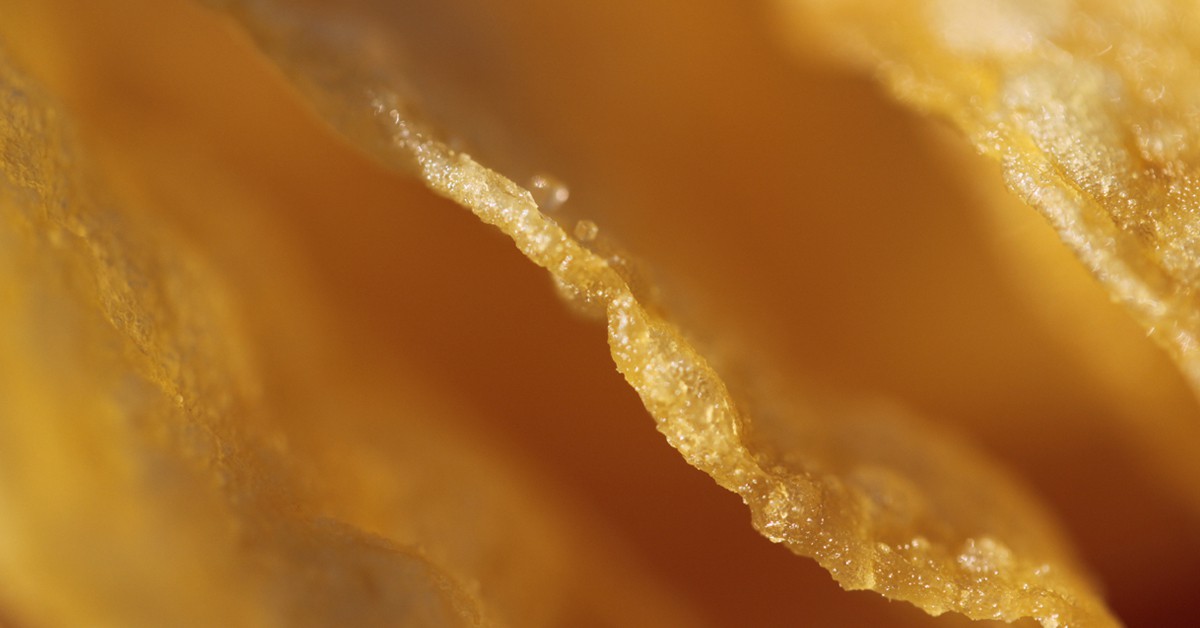 Patatas que brillan (susivinh, Foter)