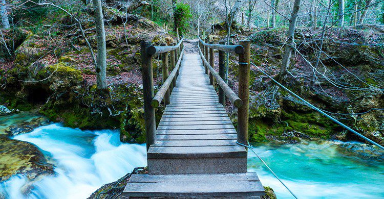 Puente sobre el río Urederra en su nacimiento (Nemosineaudiovisual, Wikipedia)