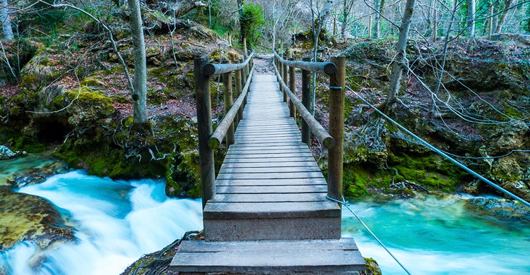Puente sobre el río Urederra en su nacimiento (Nemosineaudiovisual, Wikipedia)