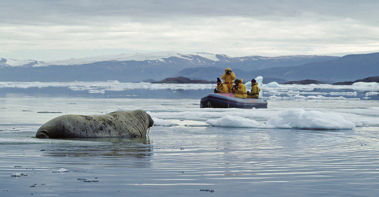 Isla de Ellesmere en Canadá. JohnPitcher (iStock)