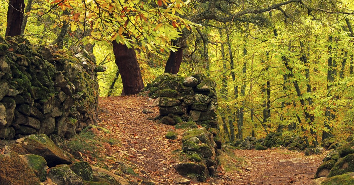 Montánchez, Cáceres (Feli García, Flickr)