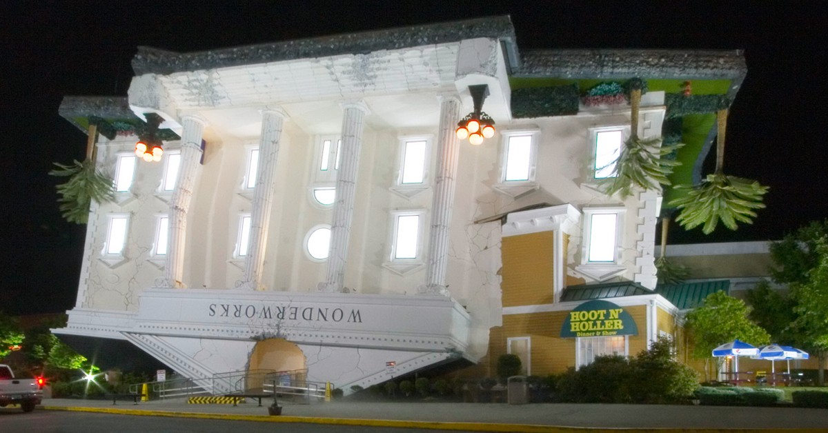 Pigeon Force (Madison Berndt, Foter)