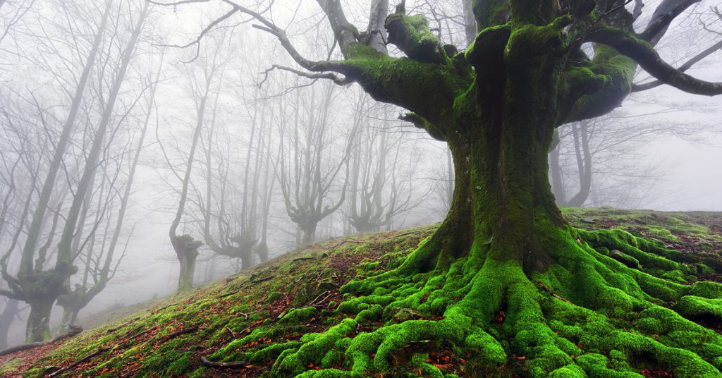Sigue leyendo 10 lugares de España que parecen sacados de Silent Hill
