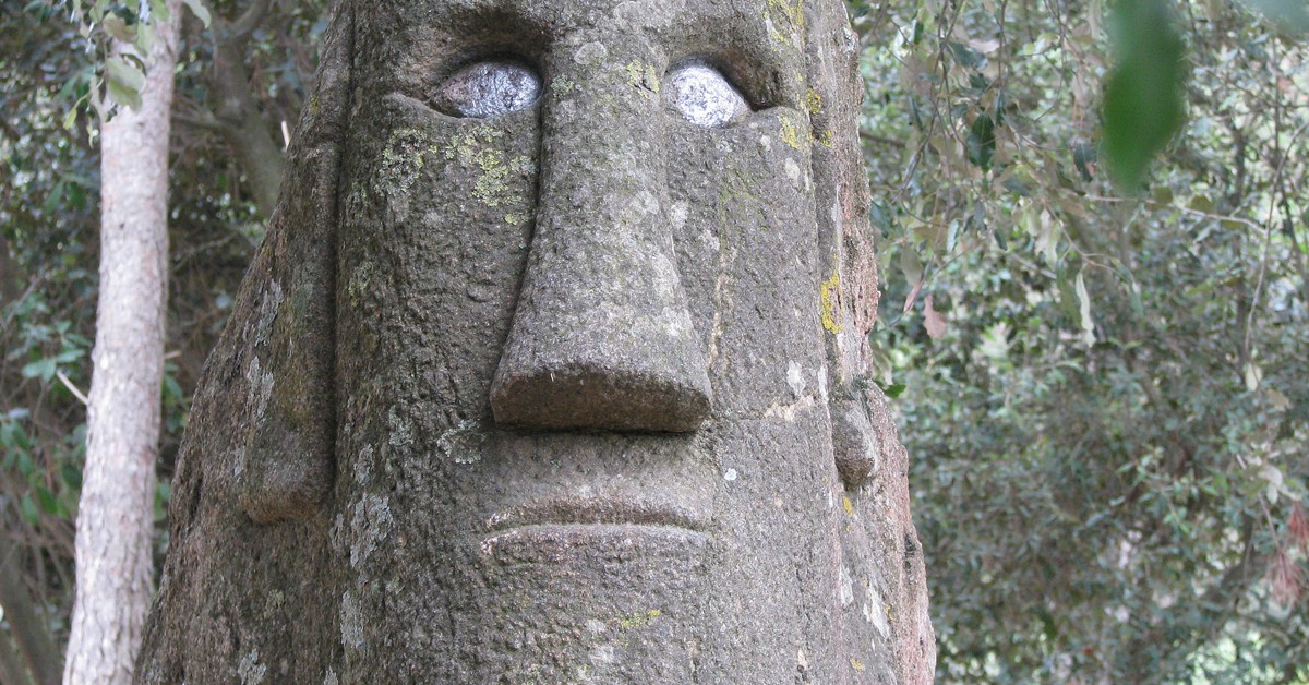 Bosque de Orrius (Flickr, Richie Vatazo)