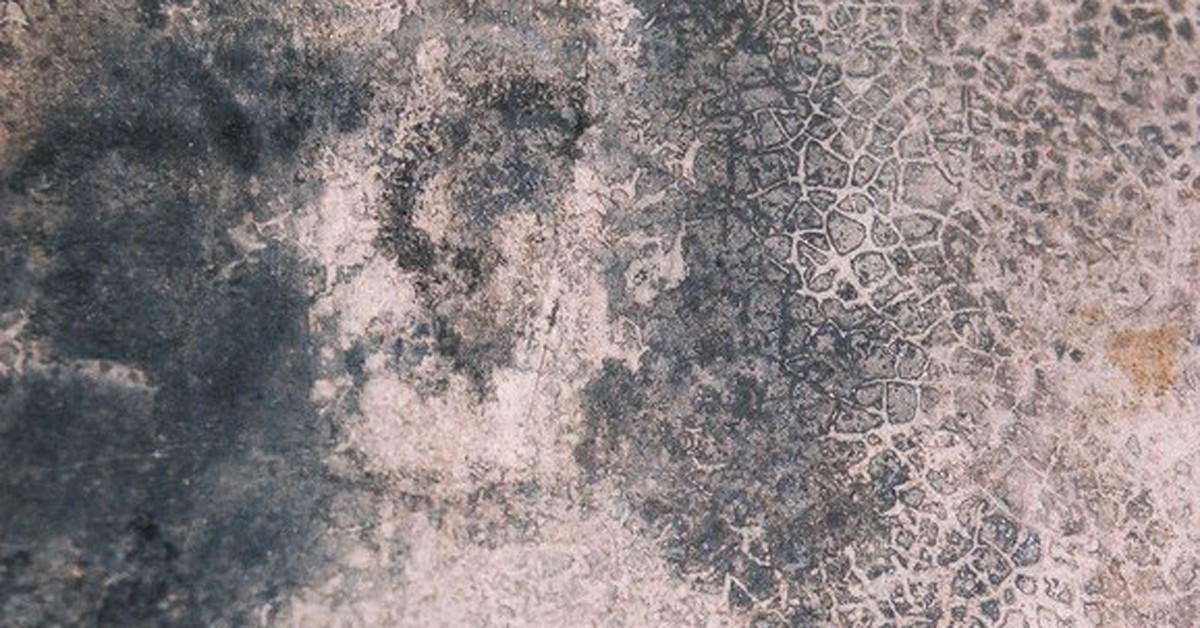 Una de las famosas caras de Bélmez (wikimedia.org)