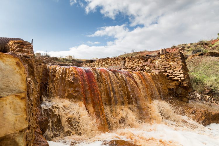 Un espectáculo de la naturaleza que merece la pena ver. (iStock)