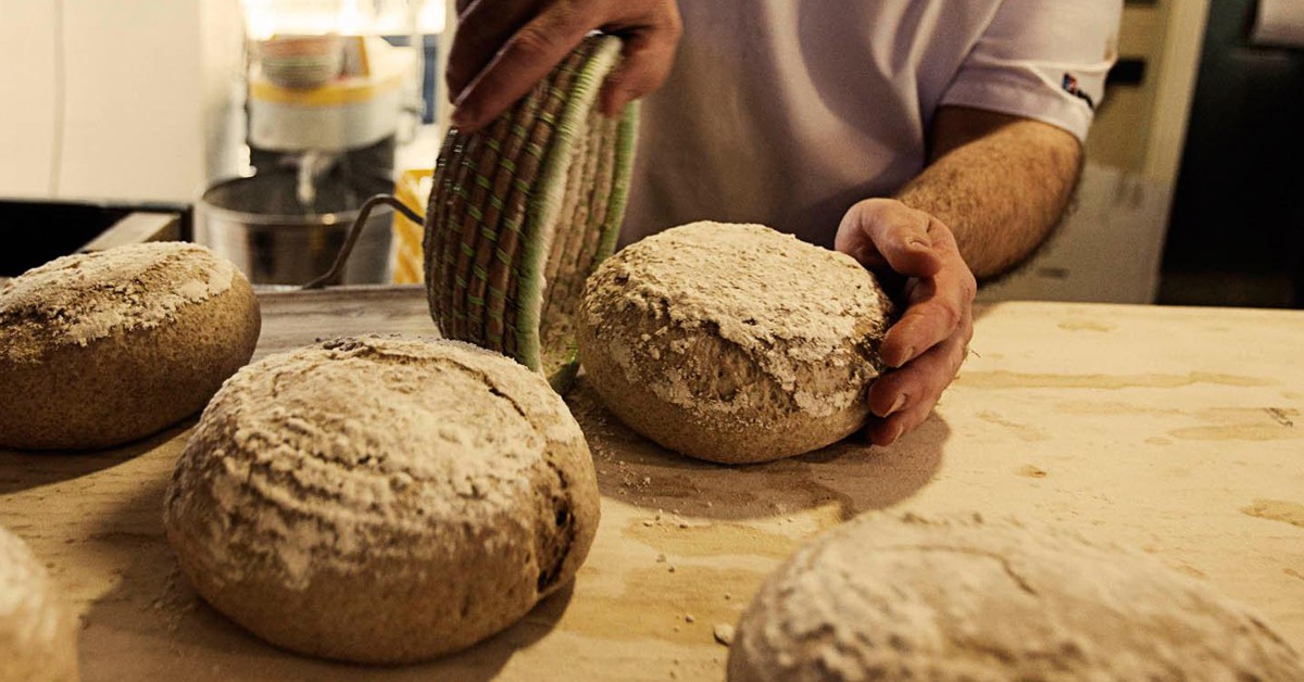 Serrajòrdia (serrajordia.com)