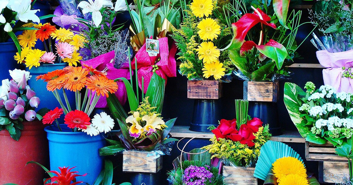 En una tienda de flores (Pixabay)