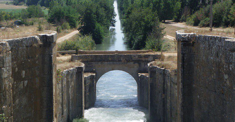 Canal de Castilla a su paso por la localidad palentina de El Serrón. Fernando Jiménez (Flickr)