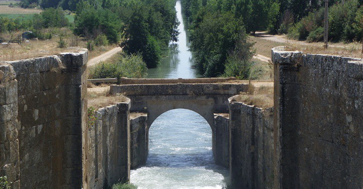 Canal de Castilla a su paso por la localidad palentina de El Serrón. Fernando Jiménez (Flickr)