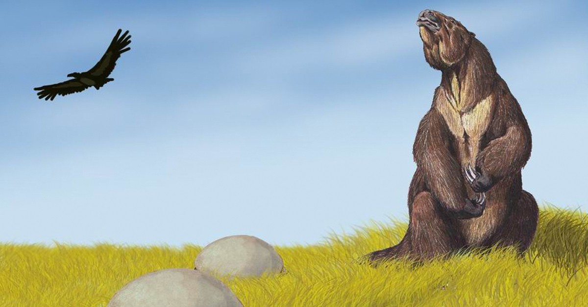Dibujo de Megatherium