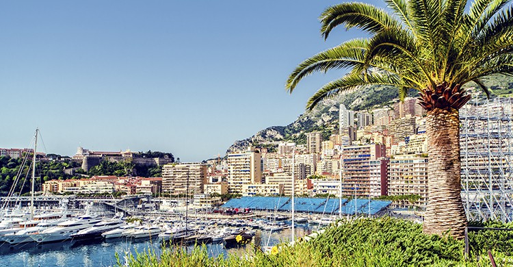 MonteCarlo