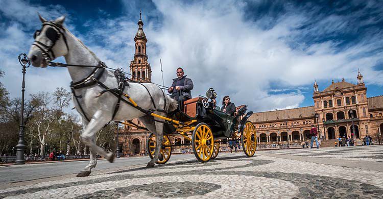 Carruaje tipico de Sevilla