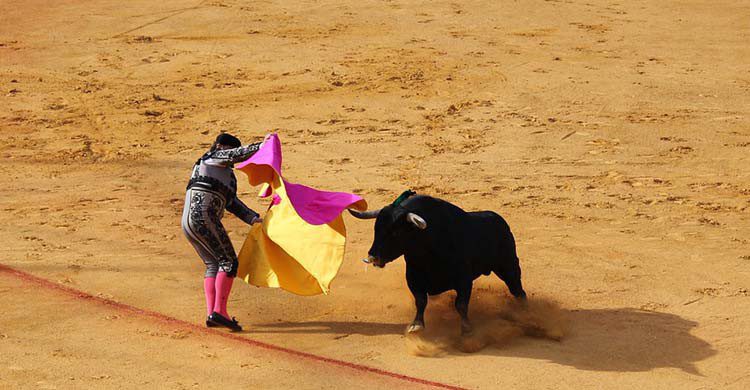 Toros de la Feria