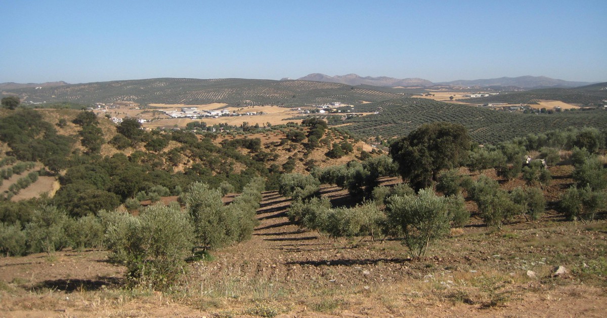 Villanueva del Trabuco, Málaga