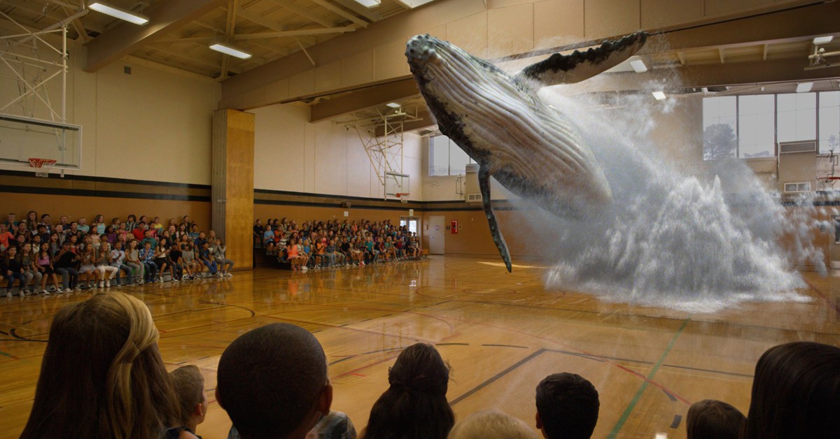 Holograma de una ballena en en gimnasio de un colegio (Facebook de Magic Leap)
