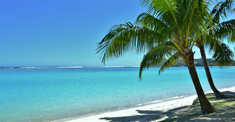 Una playa tropical con palmeras en Una playa tropical con palmeras en Guam