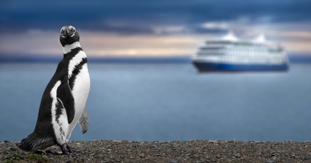 Sigue leyendo 7 cosas que debes hacer en un crucero para que no te tiren por la borda
