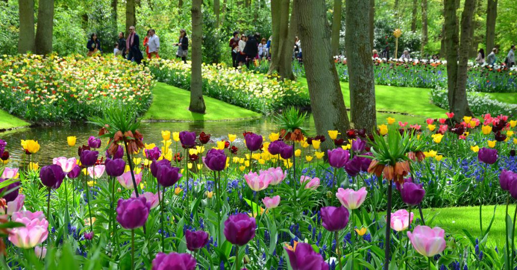 imagen jardín Keukenhof Lisse Holanda