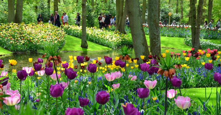 jardín Keunkenhof en primavera