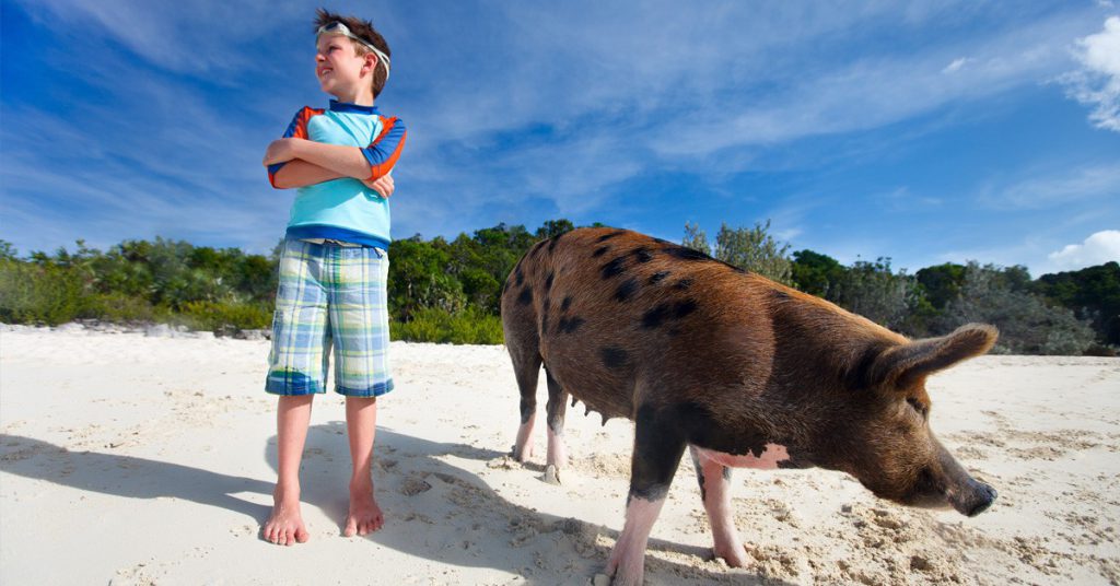 Sigue leyendo 11 lugares dominados por los animales