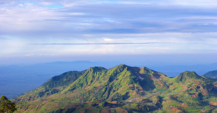 Isla de Komodo
