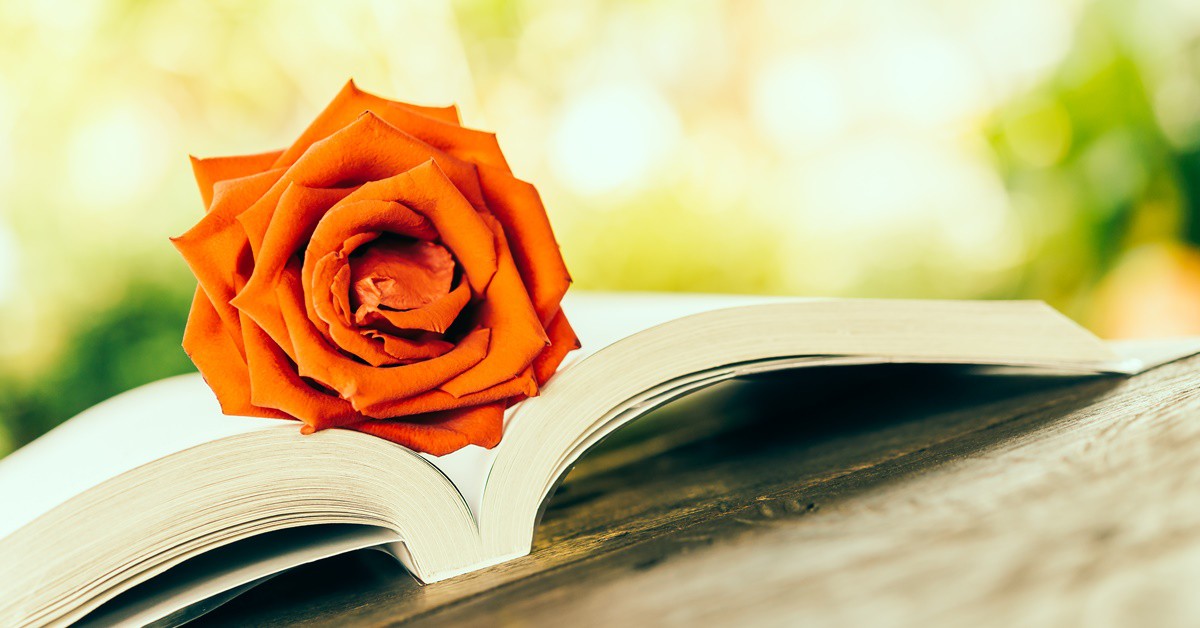 Imagen de un libro y una flor, iconos de Sant Jordi en Barcelona. 