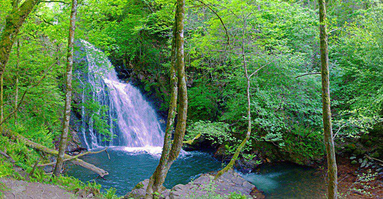Cascada de Xorroxin. PerroVerd (Flickr)