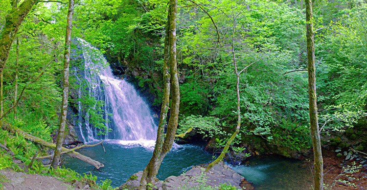 Cascada de Xorroxin. PerroVerd (Flickr)