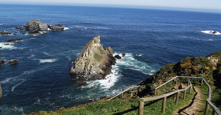 Cantís de Loiba (amaianos, Foter)