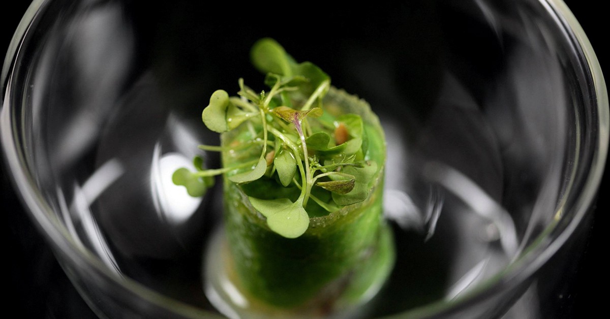 Salmorejo de ceviche natural de Choco