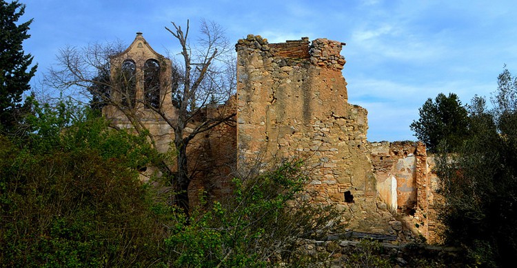 Santa María de Jafra, Olivella (Angela Llop, Foter)