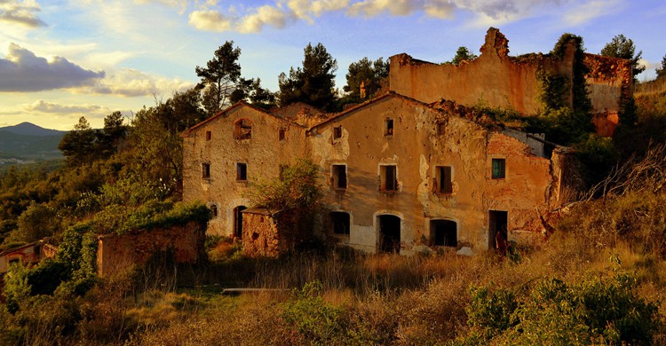 Marmellar (Angela Llop, Foter)